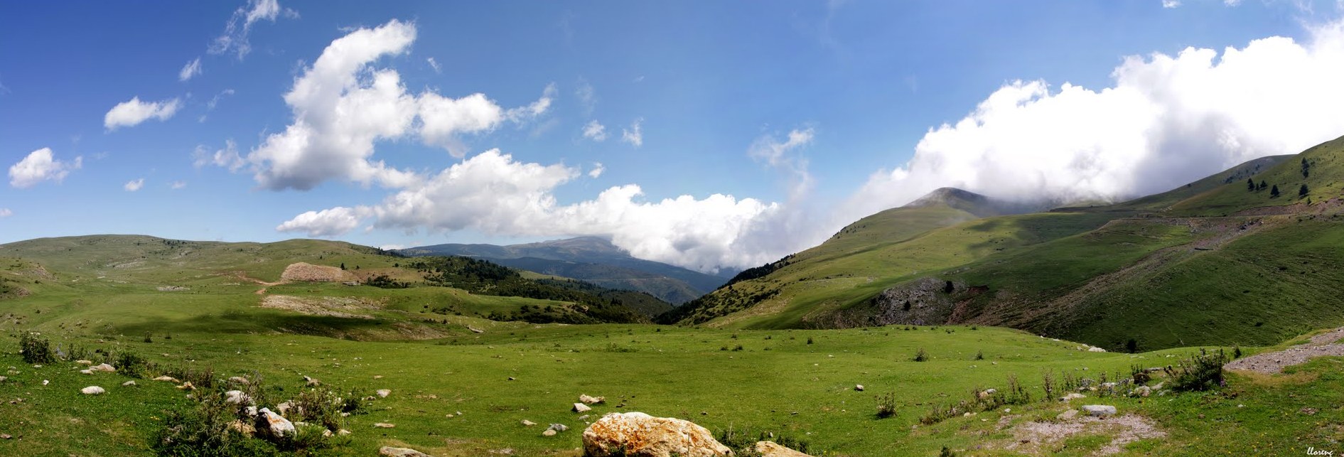 CREUETA ALLARGADA